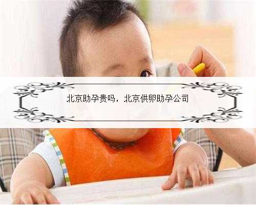 北京助孕贵吗，北京供卵助孕公司