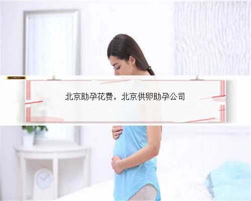 北京助孕花费，北京供卵助孕公司