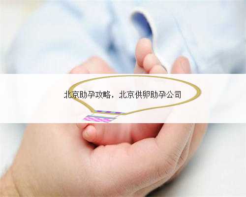 北京助孕攻略，北京供卵助孕公司
