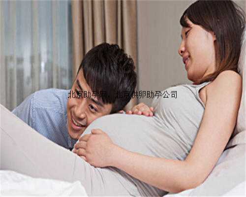 北京助孕网，北京供卵助孕公司