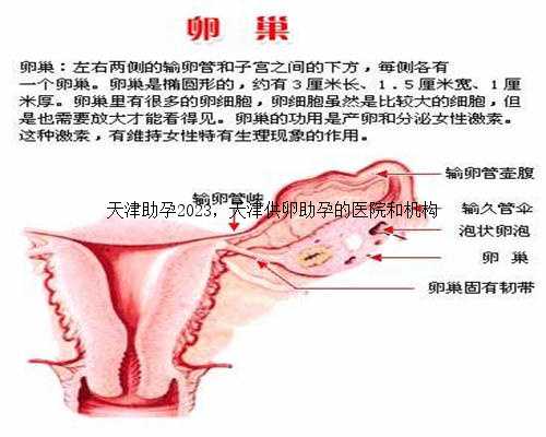 天津助孕2023，天津供卵助孕的医院和机构