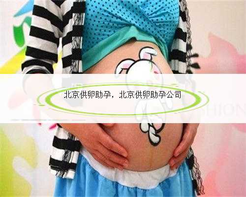 北京供卵助孕，北京供卵助孕公司