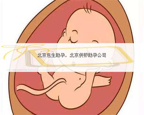 北京包生助孕，北京供卵助孕公司