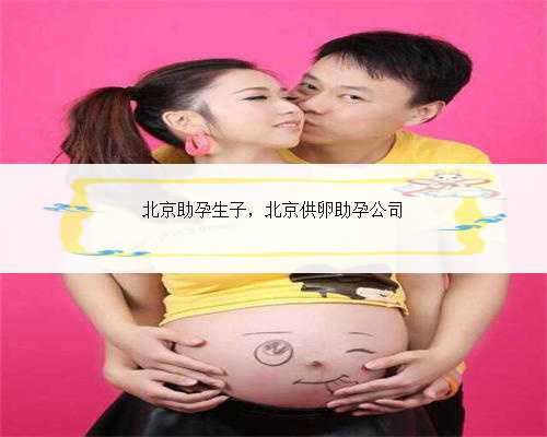 北京助孕生子，北京供卵助孕公司