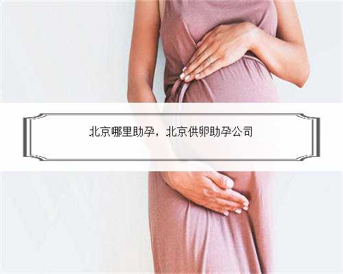 北京哪里助孕，北京供卵助孕公司