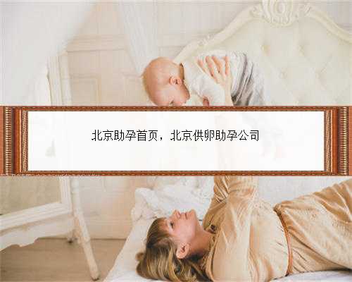 北京助孕首页，北京供卵助孕公司