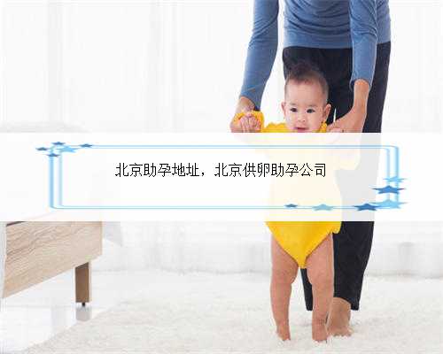 北京助孕地址，北京供卵助孕公司