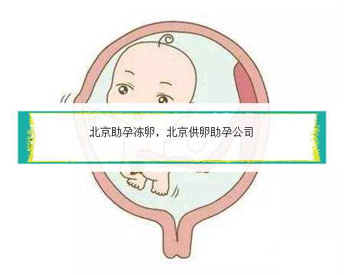 北京助孕冻卵，北京供卵助孕公司