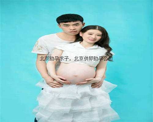 北京助孕求子，北京供卵助孕公司