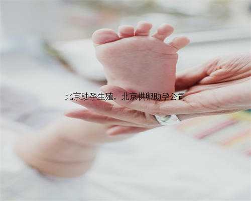 北京助孕生殖，北京供卵助孕公司