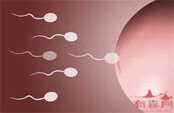 2022石家庄供卵试管助孕能够包生男孩的机构，一共仅有2家