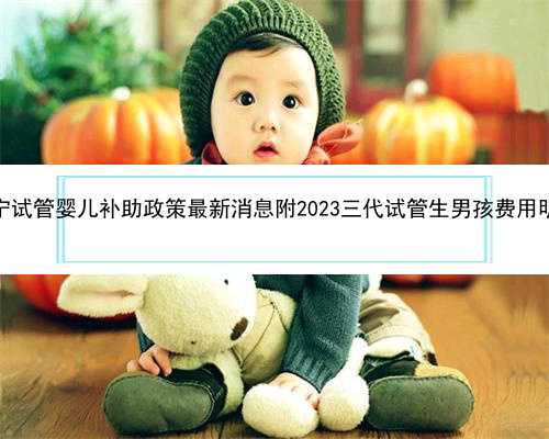<b>辽宁试管婴儿补助政策最新消息附2023三代试管生男孩费用明细</b>