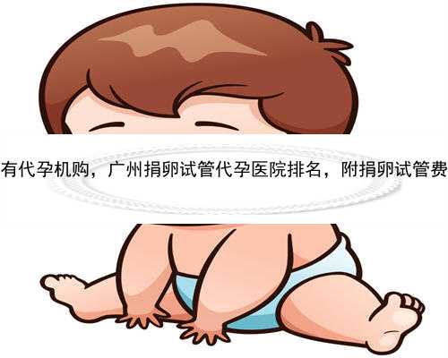 <b>广州哪里有代孕机购，广州捐卵试管代孕医院排名，附捐卵试管费用明细！</b>