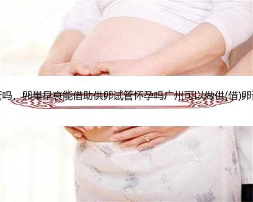 广州可以借卵试管吗，卵巢早衰能借助供卵试管怀孕吗广州可以做供(借)卵试管